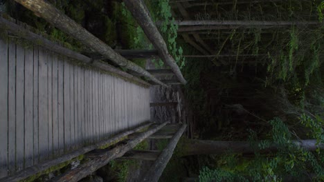 Vertical-shot-of-wooden-trail-bridge-in-middle-of-dark-forest,-handheld,-Alps
