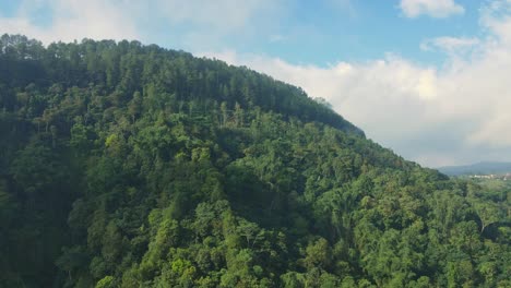 Drohne-Fliegt-Rückwärts-über-Wald-Auf-Dem-Berg