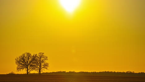 Sunset-transition-time-lapse-sun-down-yellow-orange-sky-agriculture-field