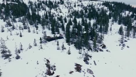 Cabaña-De-Madera-En-La-Montaña-Con-Bosque-De-Pinos-En-Invierno