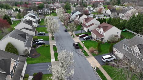 Frühling-In-Der-Amerikanischen-Nachbarschaft