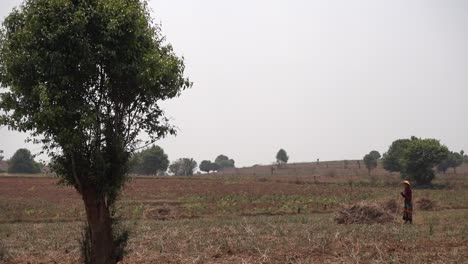 A-woman-is-working-on-a-field-in-Myanmar