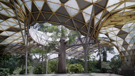 Baldachin-Auf-Dem-Hauptplatz-Des-Perdana-Botanical-Gardens-In-Kuala-Lumpur,-Malaysia