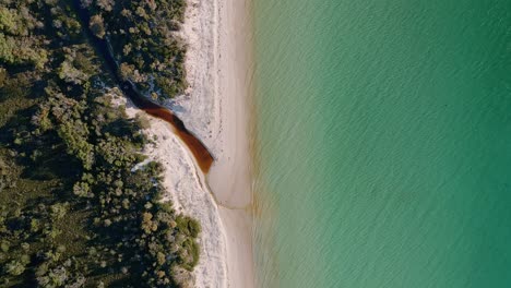 Playa-De-Arena-Blanca-Con-Mar-Azul-Claro-En-Freycinet,-Tasmania,-Australia