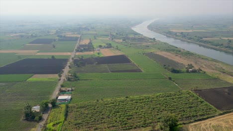 Grün-Ernte-Feld-Vogelperspektive