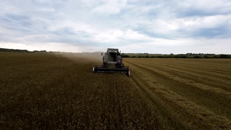 Front-Drone-Shot-of-Grain-Harvester-Harvesting-Wheat-Crops-in-Agricultural-Field