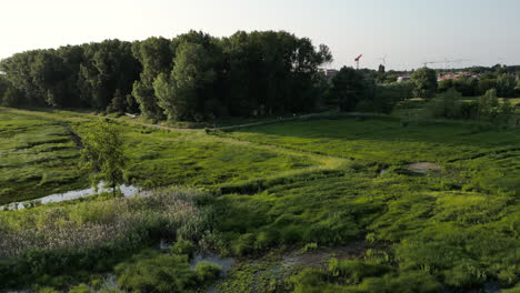 Antena-De-Arco-Circular-Alrededor-De-Un-árbol-En-La-Reserva-Natural-De-Bourgoyen-ossemeersen,-En-Gante.