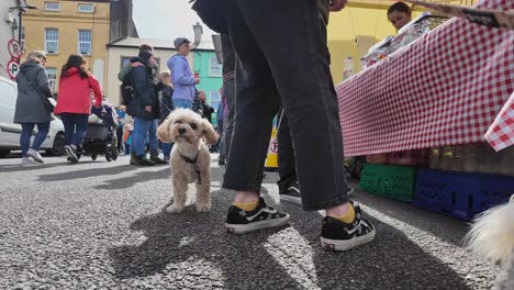 Street-Food-Festival-In-Kinsale,-Irland.-Menschenmassen-Am-Essensstand