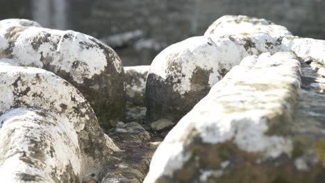 The-Tomb-Of-the-Jealous-Man-And-Woman-At-The-Cemetery-Of-St