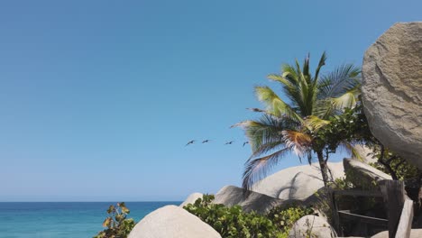 Toma-De-Seguimiento-De-Una-Bandada-De-Pájaros-Volando-Sobre-La-Pintoresca-Costa-De-Colombia,-El-Parque-Nacional-Tayrona.