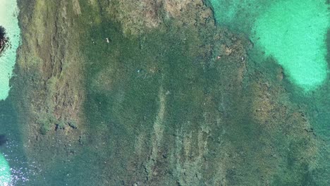 Luftaufnahme-Des-Korallenriffs-In-Bahia-La-Entrega,-Huatulco,-Oaxaca,-Mit-Kristallklarem-Wasser