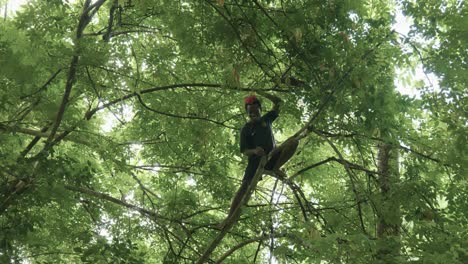 Local-Young-Man-Climbing-Up-A-Tree-In-Tropical-Island-Of-Zanzibar,-Tanzania,-Africa