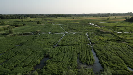 Vista-Aérea-Lineal-Del-Campo-De-Pastizales-En-La-Reserva-Natural-De-Bourgoyen-ossemeersen