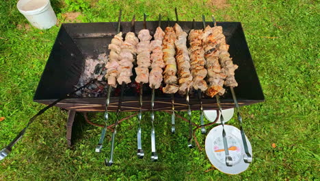 Closeup-of-fresh-roasted-chicken-on-grill,-tasty-skewered-shish-kebab