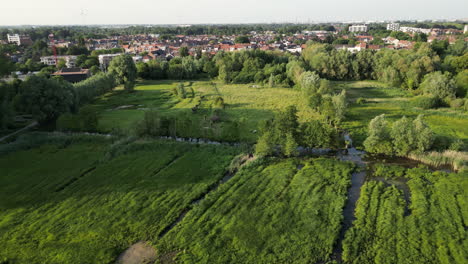 Forward-Linear-Aerial-of-Lush-Green-Grassland-in-Bourgoyen-Ossemeersen-and-Ghent,-Belgium