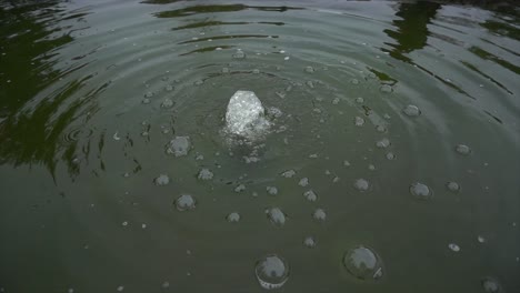 Wasserblasen-Im-See