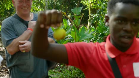 El-Hombre-Africano-Sostiene-Una-Fruta-De-Nuez-Moscada-En-Una-Granja-De-Especias,-Zanzíbar,-Tanzania.