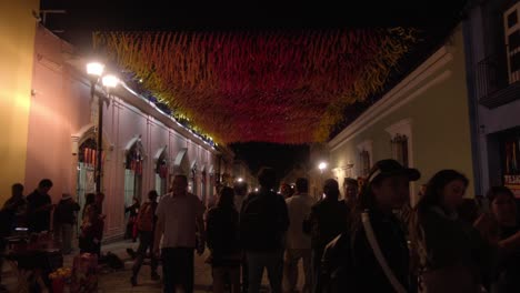 Tourist-walkway-of-Oaxaca-City,-quite-busy-with-tourists-and-locals