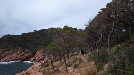 Hiking-trail-static-shot-view-people-walk-at-mediterranean-coastal-cliff-landscape-Sant-Feliu-de-Guixols-skyline-background,-green-hills,-dry-rocky-path-with-trees