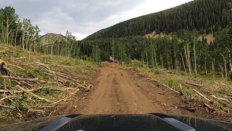 Logging-site-in-majestic-San-Juan-National-Forest-of-Colorado-with-industrial-machine,-driving-POV-shot