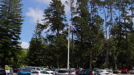 New-Zealand-national-flag-waving-above-green-pine-forest-birds-fly-at-Cornwall-park,-Auckland-city-in-summer,-cars-parked