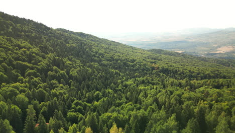 La-Vista-Aérea-Sobre-La-Montaña-Boscosa-De-Vitosha-Revela-Una-Ciudad-Cercana.