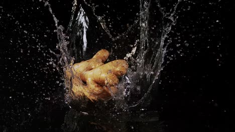 Ginger-root,-scientifically-known-as-Zingiber-officinale,-gracefully-descends-into-water-against-a-black-backdrop