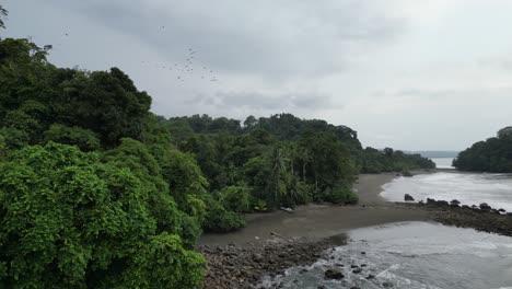 Una-Bandada-De-Pájaros-Volando-Sobre-La-Densa-Selva-Junto-A-La-Desierta-Playa-Terco,-Cerca-De-Nuquí,-En-El-Departamento-De-Chocó,-En-La-Costa-Del-Pacífico-De-Colombia.