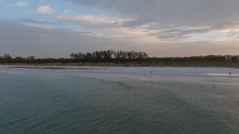 Following-the-birds-at-sunrise-in-Lido-Beach,-Florida