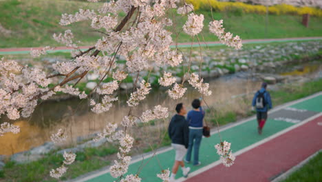 Menschen-Besichtigen-Den-üppigen-öffentlichen-Park-Maeheonyangjae-Citizens‘-Forest-In-Seoul,-Südkorea