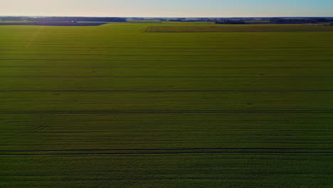 Lufttransportwagen-Vorwärts-über-Landwirtschaftlichem-Feld,-Wolkenloser-Blauer-Himmel-In-Lettland