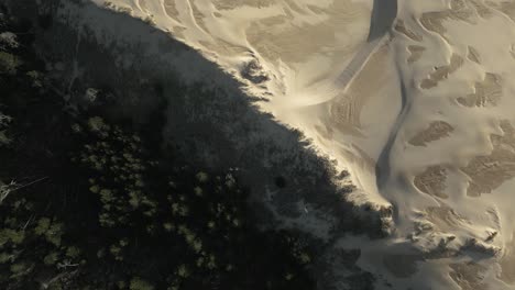 Bird's-Eye-View-Over-Oregon-Dunes-Next-to-Lakeside,-Oregon,-USA---Drone-Shot