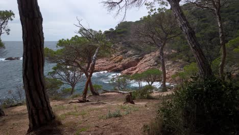 Paisaje-Panorámico-En-Cami-De-Ronda-Costa-Rocosa-Mediterránea,-Olas-Del-Mar-Rompiendo-En-La-Ventosa-Y-Seca-Región-Natural-De-La-Costa-Brava-En-España-Cataluña