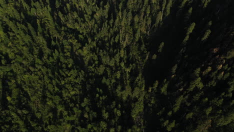 Aerial-tilt-shot-over-ravine-and-forest,-revealing-the-Popocatépetl-volcano,-in-Mexico