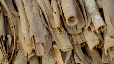 cinnamon-close-up,-fragrant-fresh-cinnamon-in-twisted-sticks,-cinnamon-barks