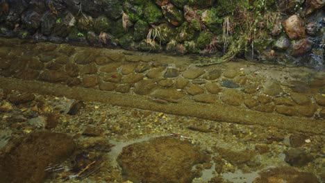 Trucha-Japonesa-En-Un-Río-Prístino-En-Las-Montañas-De-Yamagata