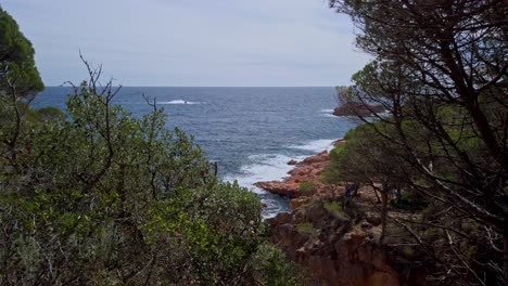 Rocky-shore-mediterranean-revealing-landscape-green-trees-earthy-cliff-sea-waves-breaking,-skyline-blue-ocean-background,-Camí-de-Ronda-spain