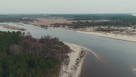 Luftaufnahme-Des-Flusses-Gauja,-Der-In-Die-Ostsee-Mündet,-Golf-Von-Riga,-Lettland,-Zerbrochene-Kiefern-Nach-Einem-Sturm-Und-Angeschwemmte-Ufer
