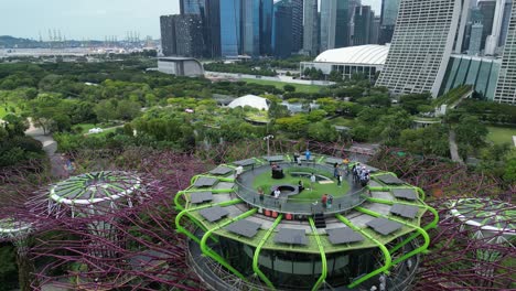 Gente-Visitando-El-Horizonte-De-La-Ciudad-Desde-La-Azotea-De-Un-Superárbol-En-Los-Jardines-De-La-Bahía,-Disparo-De-Arco-De-Drones