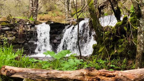 Prado-Waterfall-Oasis-in-Vilar-de-Barrio,-ourense,-galicia,-spain