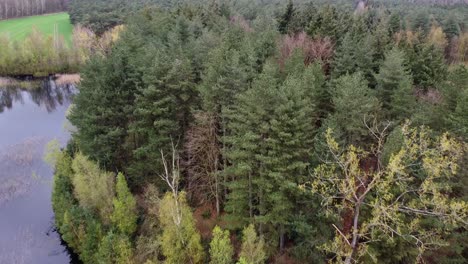 Scenic-aerial-shot:-small-island-inside-hidden-lake-in-the-belgian-forest