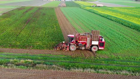 Sugar-beet-harvest-with-Holmer-Terra-Dos-T3