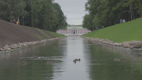 4k,-Patos-Nadando-En-Un-Estanque,-Bosque-A-Su-Alrededor,-Gente-Caminando-Cerca,-Al-Fondo-Un-Antiguo-Palacio,-Nublado,-Verano