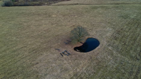 Aerial-Drone-one-lonely-tree-next-to-small-pond-in-dry-meadow-fields-solitude-concept,-autumn-daylight