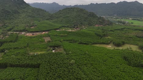 Toma-Aérea-De-Drones-De-árboles-Cerca-De-Una-Cadena-Montañosa-En-Vietnam