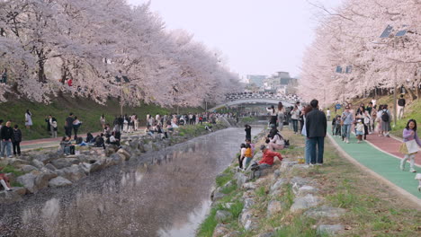 Gente-Relajándose-En-El-Parque-Público-Del-Bosque-Ciudadano-De-Yangjae-En-El-Distrito-De-Seocho,-Seúl,-Corea-Del-Sur