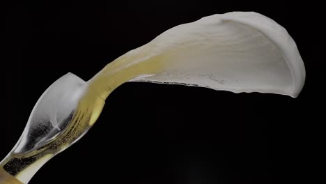 Beer-liquid-is-dropped-from-a-glass-onto-a-black-backdrop,-embodying-the-concept-of-splashing-brew-with-an-artistic-flair