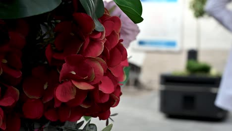 Hängende-Blumen-Mit-Einem-Unscharfen-Hintergrund-Im-Zentrum-Von-London,-Zentrum-Von-London,-Großbritannien