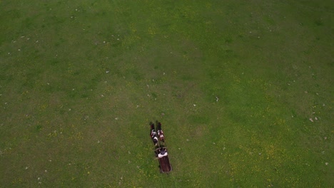 Aerial-View-of-Horse-Drawn-Carriage-Moving-in-Green-Pasture,-Birdseye-Drone-Shot