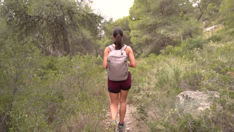 Chica-Excursionista,-Mujer-Al-Aire-Libre-En-El-Bosque-De-Montaña,-Caminar-Por-La-Naturaleza,-Pasear,-Deambular-Por-El-Bosque-En-Invierno